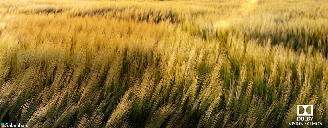 سیستم صدای تلویزیون ال جی ZXPUA